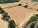 DJI_20240906134051_0070_D.jpg