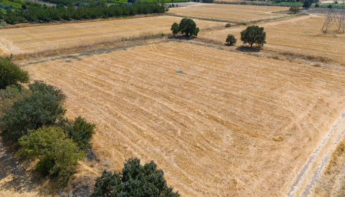 DJI_20240906134058_0071_D.jpg