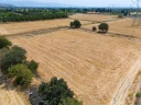 DJI_20240906134058_0071_D.jpg