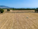 DJI_20240906134116_0073_D.jpg