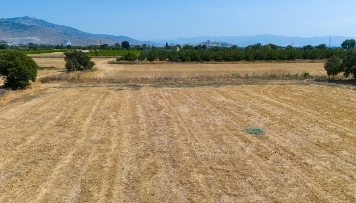 DJI_20240906134116_0073_D.jpg