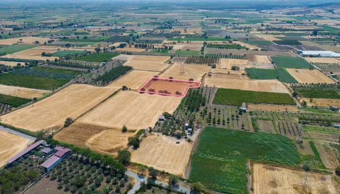 DJI_20240906134354_0078_D.jpg