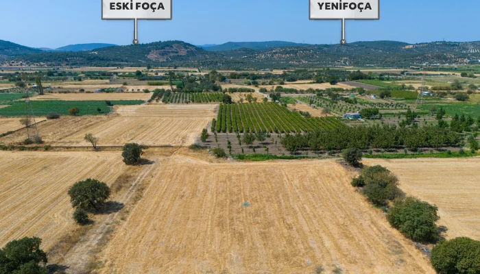DJI_202240906133455_0046_D.jpg