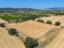 DJI_202409026133509_0047_D.jpg