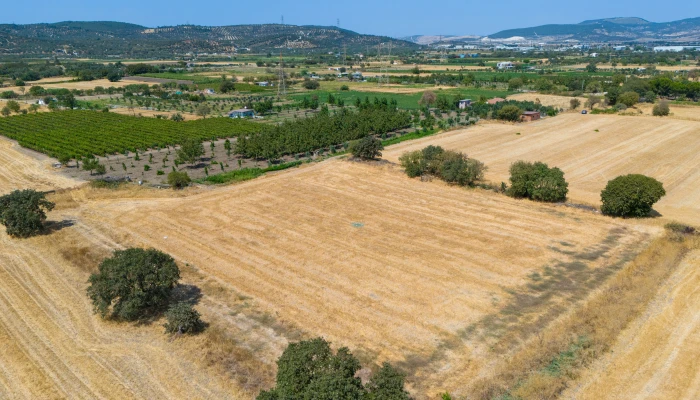 DJI_202409026133509_0047_D.jpg