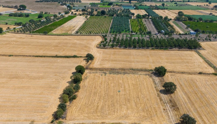 DJI_202420906133943_0066_D.jpg