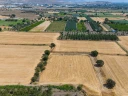 DJI_202420906133943_0066_D.jpg