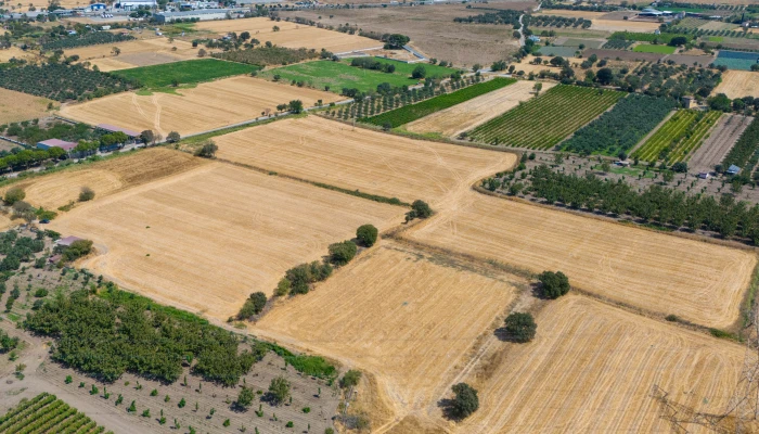 DJI_210240906133926_0065_D.jpg