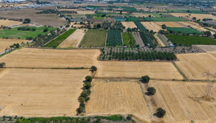 DJI_220240906134018_0068_D.jpg