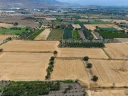 DJI_220240906134018_0068_D.jpg