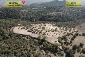 İZMİR BERAGAMADA SATILIK YOL CEPHELİ 18.500 m2 ZEYTİNLİ TARLA