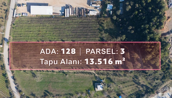 DJI_202412182131549_0001_D.jpg