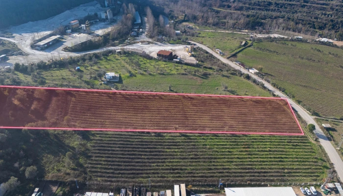 DJI_20241218131841_0009_D.jpg
