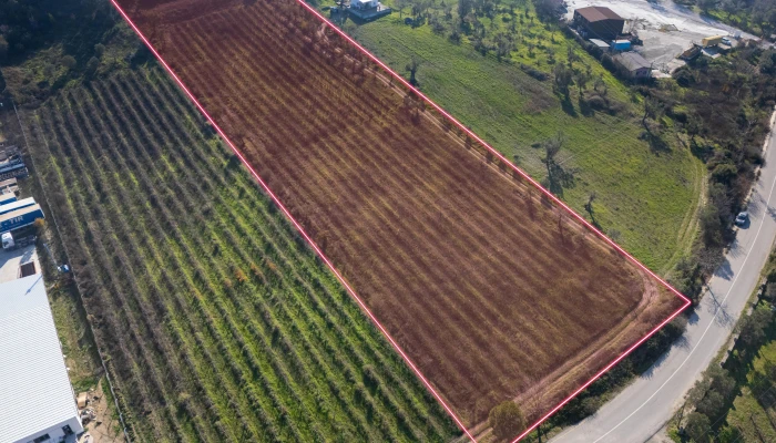 DJI_202412181231926_0011_D.jpg