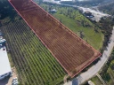 DJI_202412181231926_0011_D.jpg