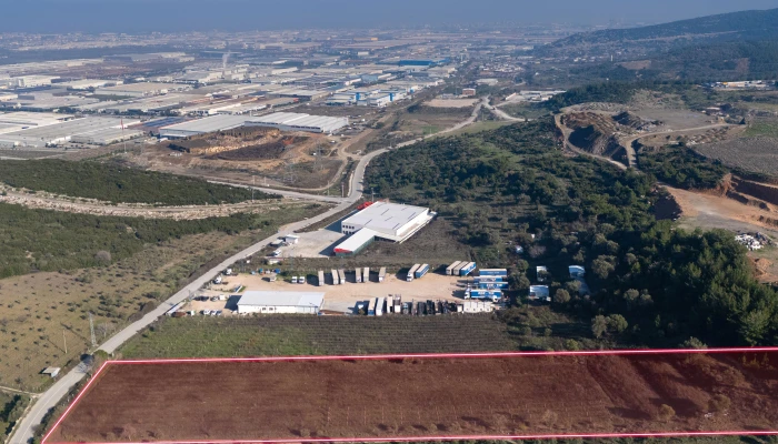 DJI_202412218132138_0019_D.jpg