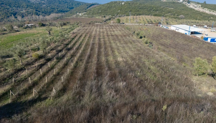 DJI_20241218132411_0028_D.jpg