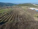 DJI_20241218132411_0028_D.jpg
