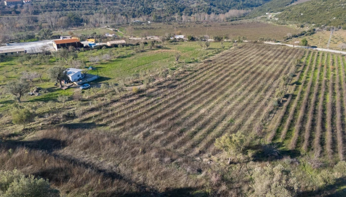 DJI_20241218131814_0008_D.jpg