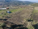 DJI_20241218131814_0008_D.jpg
