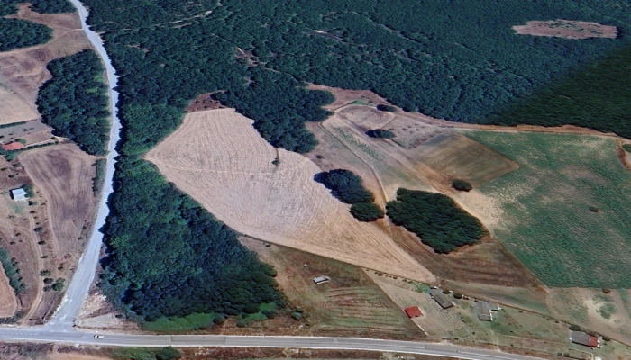Screenshot_20250218_132617_Google Earth.jpg