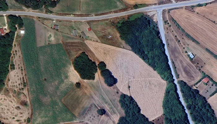 Screenshot_20250218_132723_Google Earth.jpg
