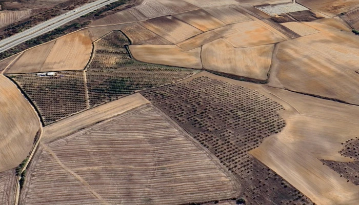 Screenshot_20250310_130502_Google Earth.jpg