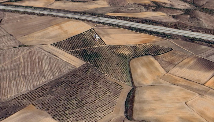 Screenshot_20250310_130452_Google Earth.jpg