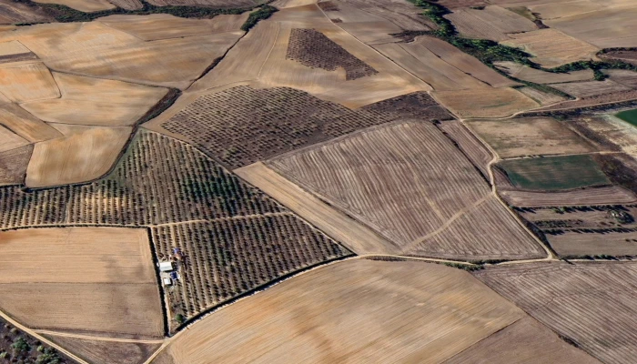 Screenshot_20250310_130428_Google Earth.jpg