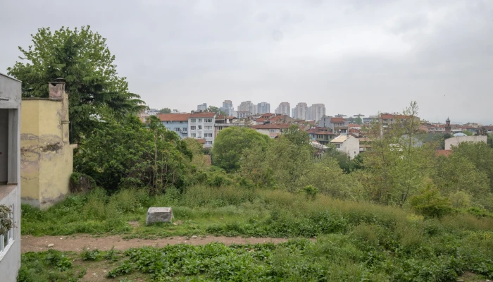 DSCF0203.jpg