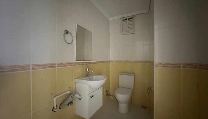 p6.jpg