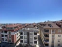IMG_7991.jpg