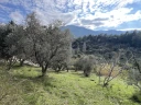 IMG_1982.jpg