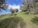 IMG_1987.jpg
