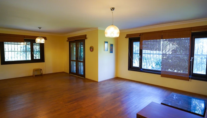 DLM05827.jpg
