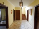 DLM05839.jpg