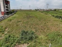 IMG-20250807-WA0012.jpg