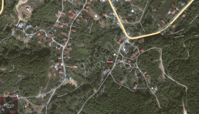 Ekran görüntüsü 2025-08-07 075011.png